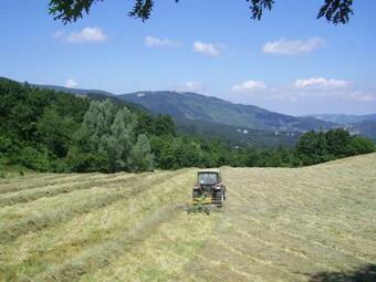 Agroturismo Agriturismo Il Falco Del Monte Fumaiolo