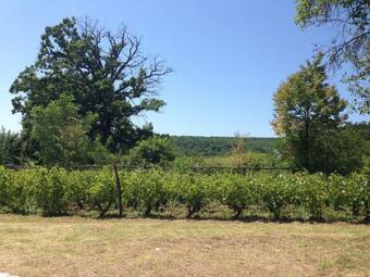 Villa Pensiunea Zina