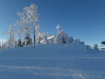 B�hmerwald Angerholz