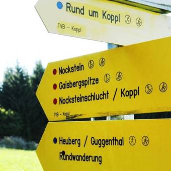 Hostal Hotel-gasthof Am Riedl