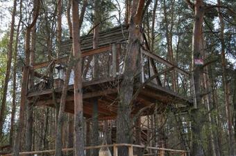 Lodge Domek Na Drzewie!