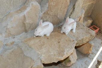 Agroturismo Cal Server�