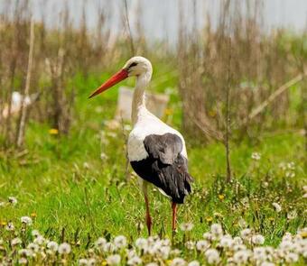 Les 2 Granges G�te