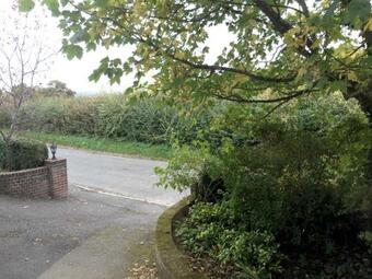 Hostal Heydon Guest Suite