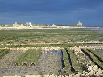Bed & Breakfast Entre Terre Et Mer