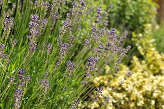 Apartamento Ur-natur Appartements