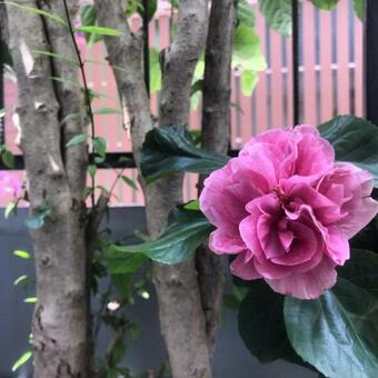 Rimklong Boutique Hotel