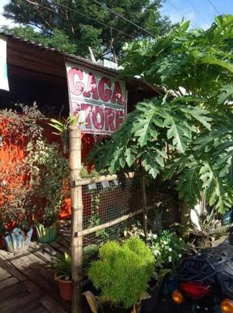 Bungalow On The Beach. Great Sunset. Relaxing Place