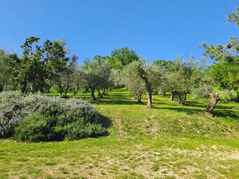 Casa Martin , 4 Bedroom Villa