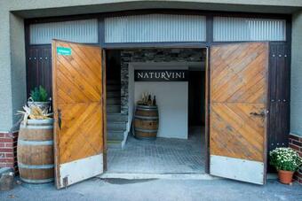 Agroturismo Penzion A Vina?stv� Naturvini