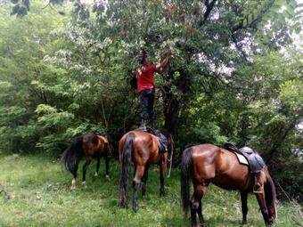 Agroturismo Casa Piscul Lupului