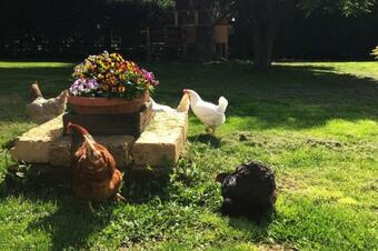 Apartamento Garola Coccod�