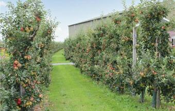 Stunning Home In Acquoy With Wifi And 9 Bedrooms