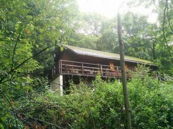 Oude Boshut Met Zwembad