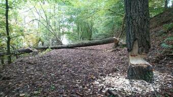 Bed & Breakfast Fitnessfun