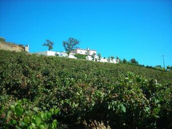 Villa Quinta Do Pa�o E Da Ribeira