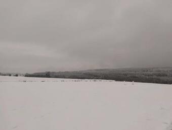 Au Fr�ne Centenaire