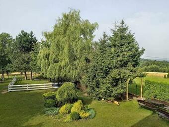 Apartamenty Niko-okolice Zatora-energylandia