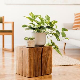 Apartamento Esra Noir