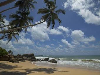 Hotel Dream Beach Resort