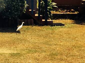 Hostal Airy Dale Guesthouse