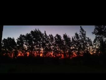 Casa De Campo / Quinta Villa Ruiz / Carlos Keen