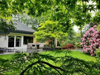 Boshuis Met Sauna In Buitenverblijf