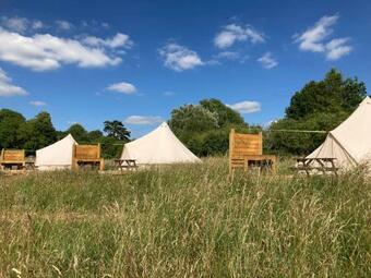 Walltree House Glamping