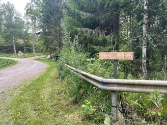 Modern Holiday Home In Kisa