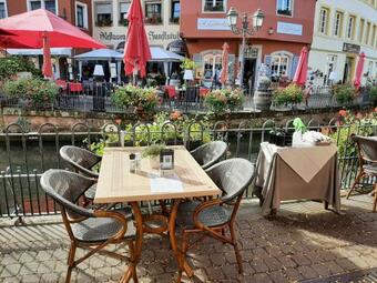 Apartamento Magnolia