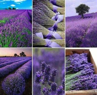 Apartamento Studio Ind�pendant Vue Magnifique Et Au Calme