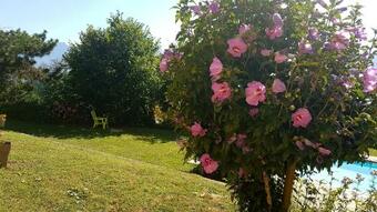 Le Mas De Chartreuse