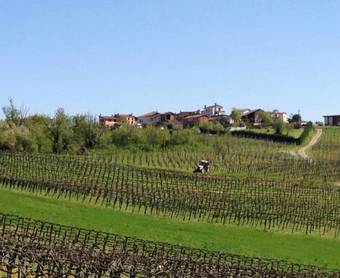 Apartamento Casa Vacanze Gaia