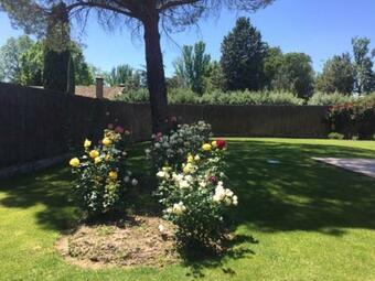 Hostal Casa De Sol, Piscina Y Jacuzzi En Comunidad De Madrid