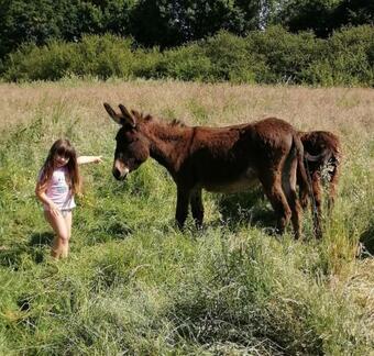 Chambre Dans Une Ancienne Long�re Petit D�jeuner Compris