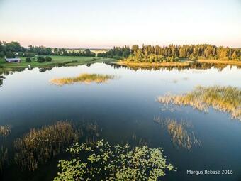 Lodge Eistvere Holiday Home