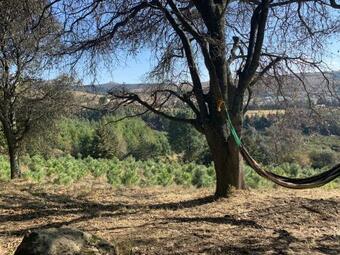 Las Caba�as De Los Abuelos