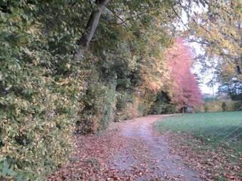 Hostal Relais Des Caill�res