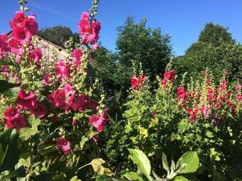 Badgers Cottage A Very Original Somerset Longhouse
