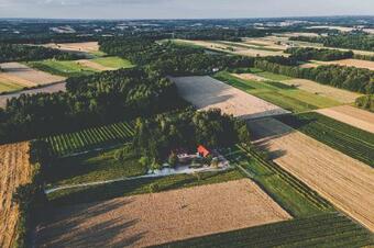 Zaborze 47 - Sza?asy Na Drzewach