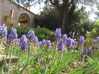 Bed & Breakfast Le Mas Des Cigales