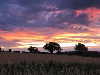 Jays Hatch Holiday Cottage, Witton, Near Happisburgh, Norfolk