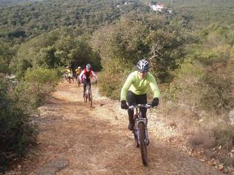 Holiday Home In Muntic/istrien 10956