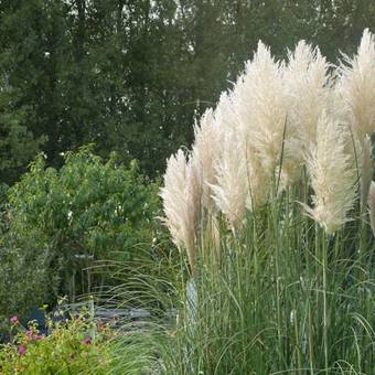 G�te Et Relais Equestre De Marie