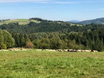 Agroturystyka Ni?nik