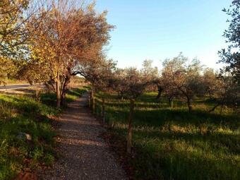 Casa Rural El Palomar