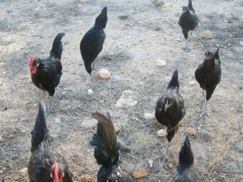 Apartamento Los Tobares