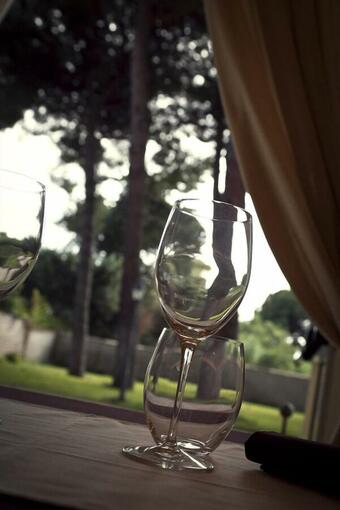 Hotel Villamaria Park