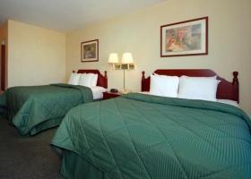 Hotel Comfort Inn & Suites Fremont