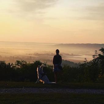Bed & Breakfast Manoir De La Houlette
